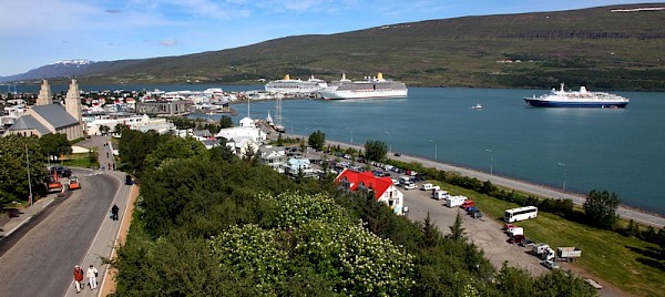 Akureyri plants trees to offset cruiseship carbon emissions