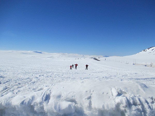 New winter shore excursions in Eidfjord